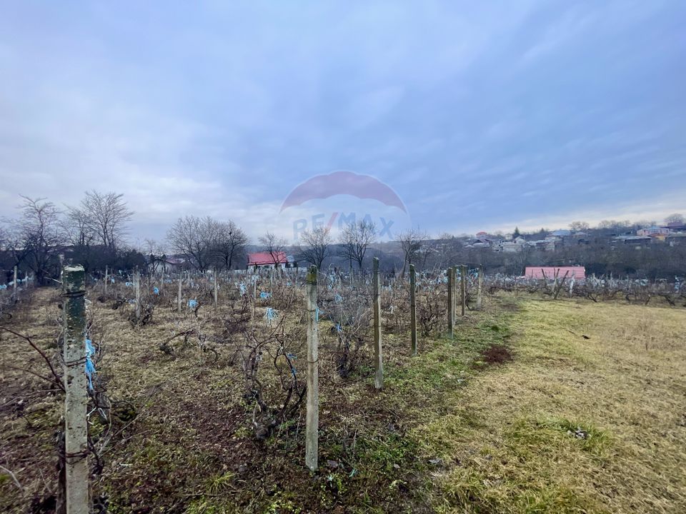 Casă cu teren  Neicu/Panciu