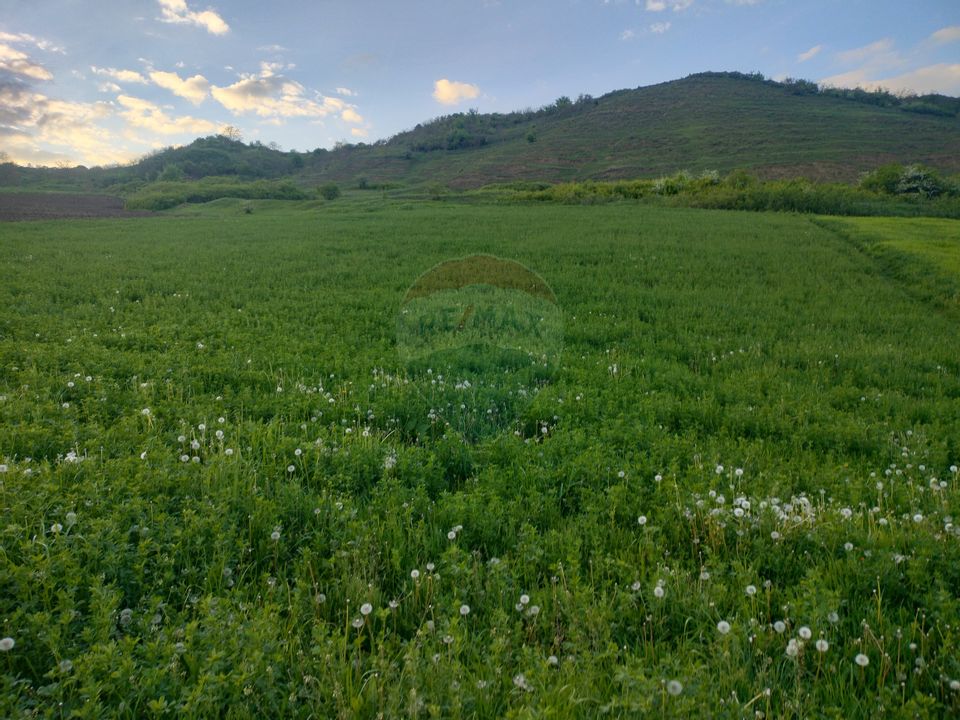 Teren intravilan Tarnaveni
