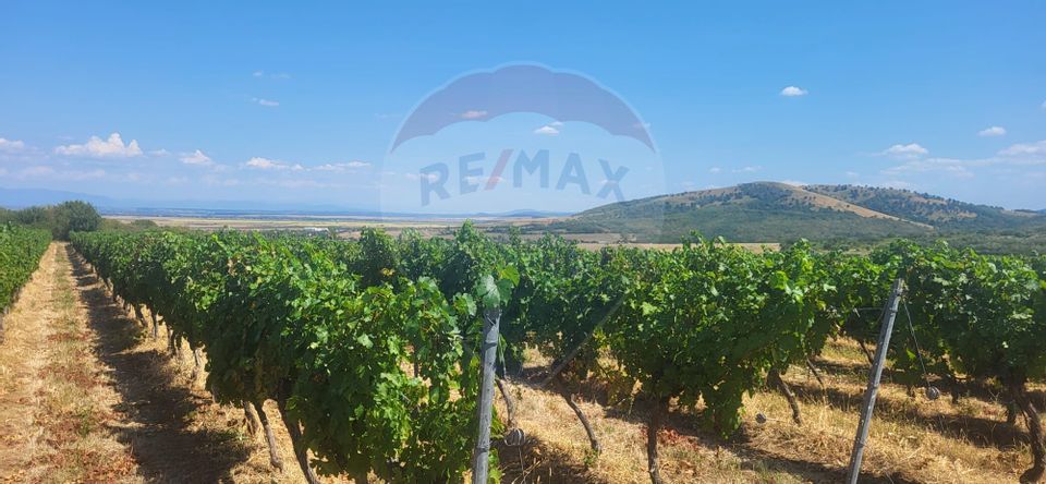 Land 70,000sqm Maderat / Strada principala