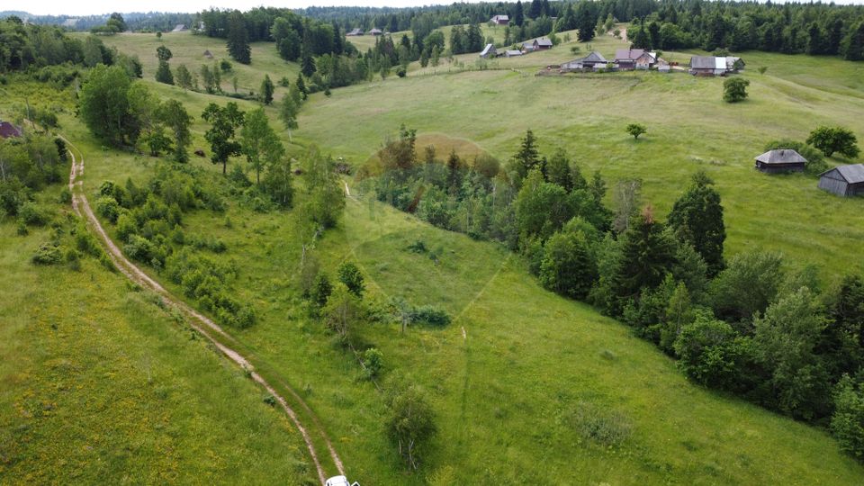 Land 8,119sqm Calatele / Strada Calatele Padure