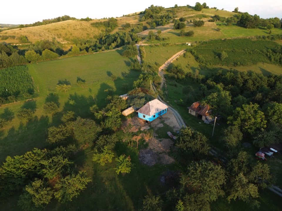 DE VANZARE CASA CU SUFELT SI ISTORIE