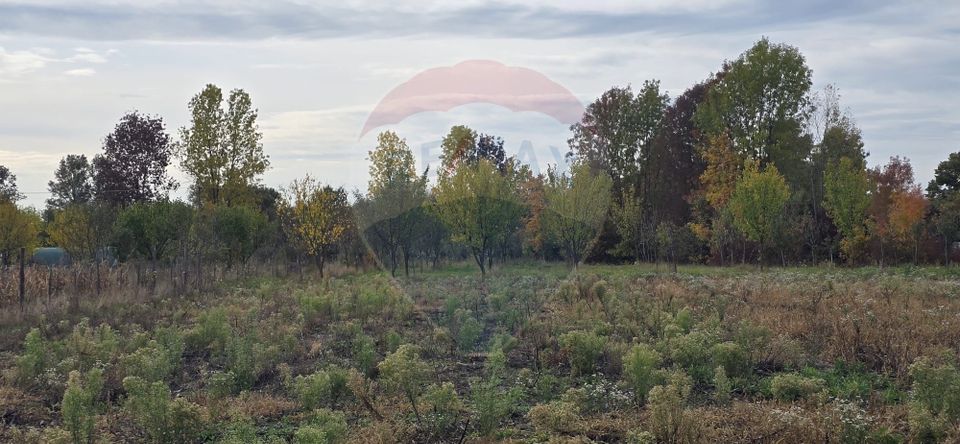 Teren generos cu potential în comuna Silindia, judetul Arad