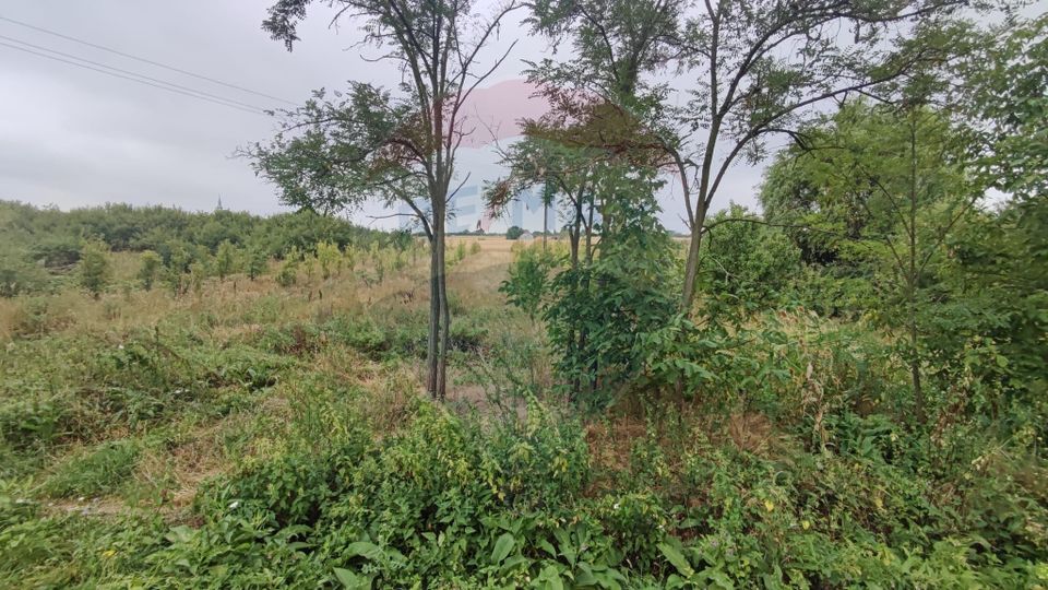 Teren 2.341 mp Uileacu de Munte front 26 ml la drum asfaltat