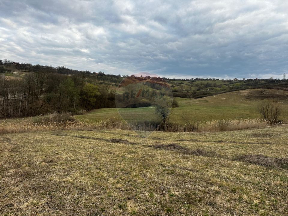 Teren cu panorama superba în Berchezoaia + bonus rulota