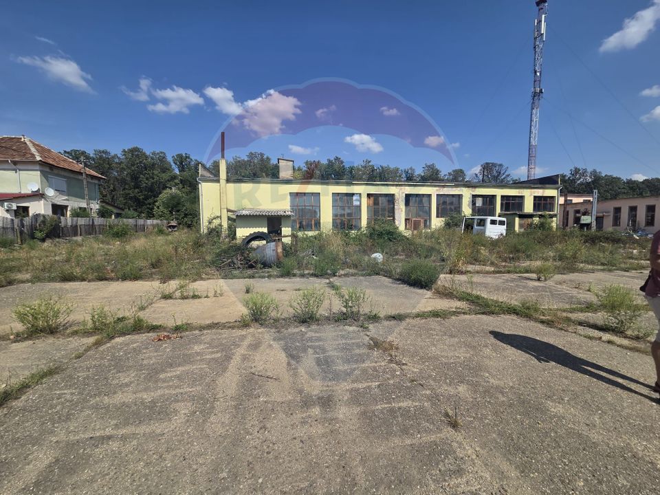 Spațiu industrial 15435 mp. de vânzare in Tinca.