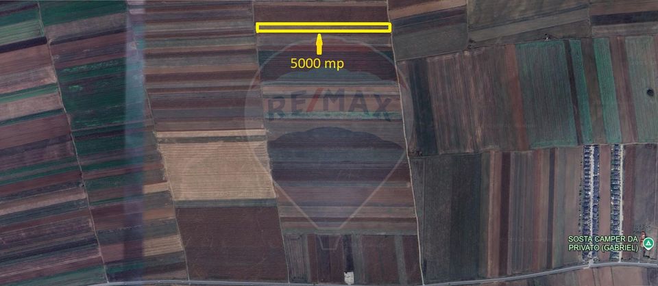Teren Extravilan 5.000 mp Tarlungeni / Strada Zizinului