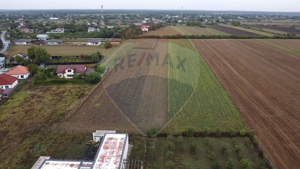 Teren Moara Vlasiei / Strada Cantonului - Padure