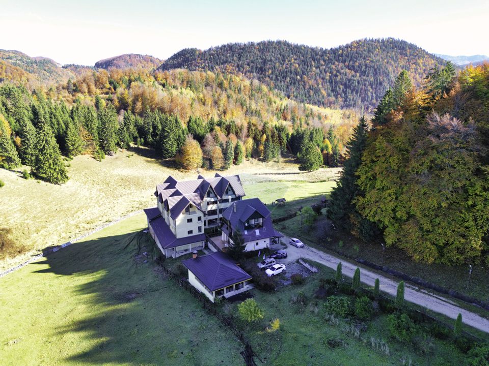 Domeniu de vis cu potențial extraordinar -10,8 ha în inima României