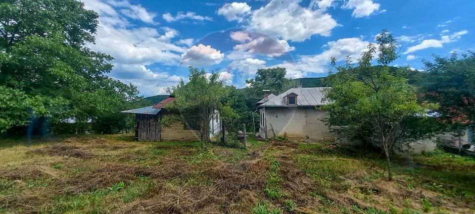 Land 3,551sqm Poiana Copaceni / Strada Poiana Copaceni