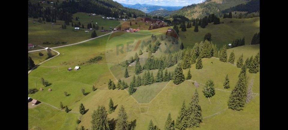 Teren de 14318m.p. în Paltinis, la 100m de strada Principala