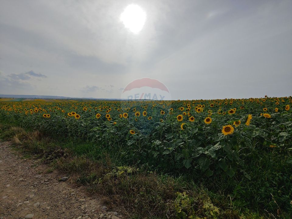 Teren parțial intravilan-300000mp Stroiești-Trei Movile, Suceava