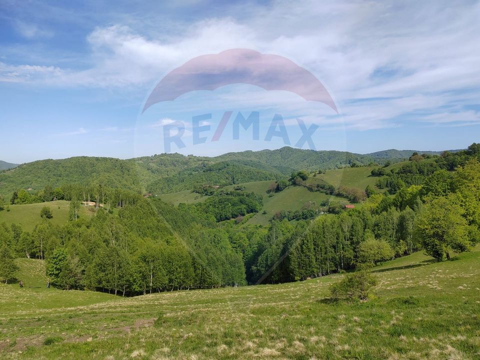 Land 20,131sqm Poiana Marului / Strada Fara nume