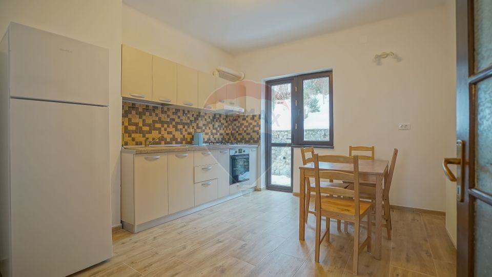 Apartament cu 3 camere în casă cu grădină Drumul Poienii