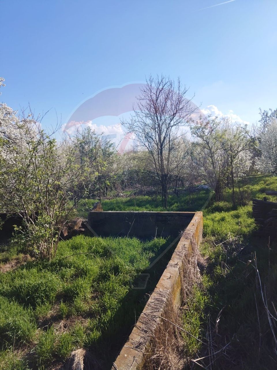 Land 4,870sqm Sintesti / Soseaua Principala