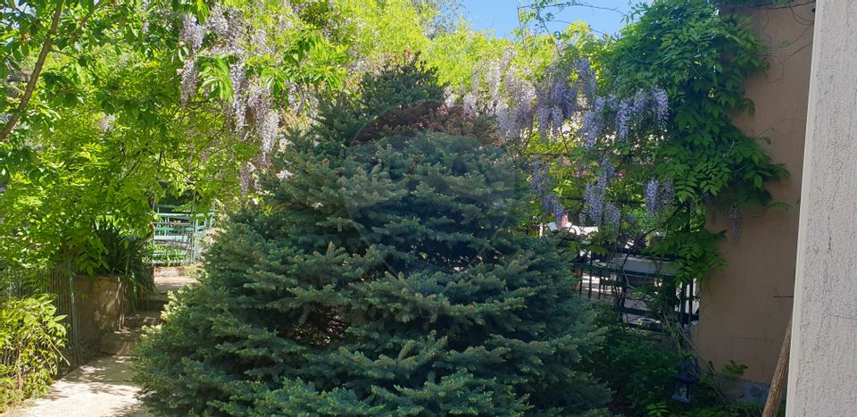 7 room House / Villa for sale