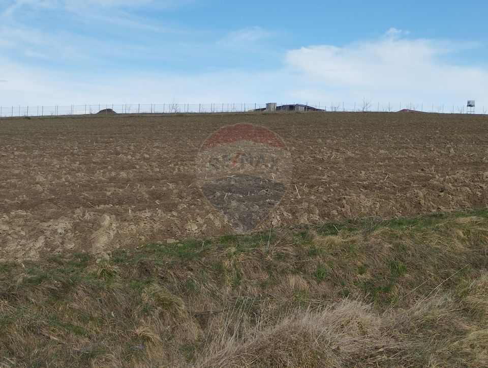 Teren Bodesti / Strada OSLOBENI LANGA MANASTIREA DUMBRAVELE