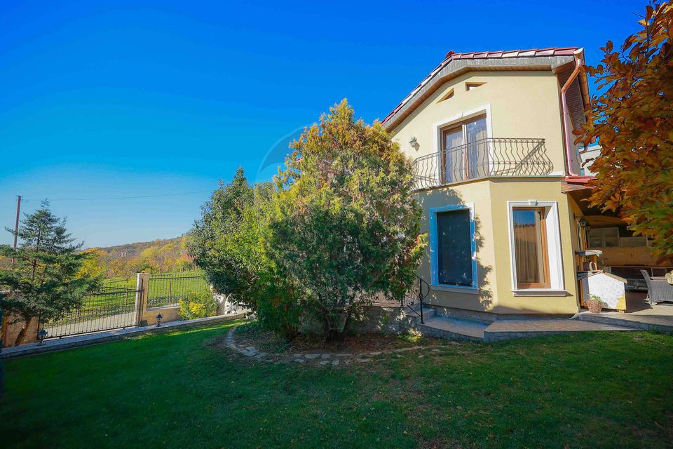 De vânzare vilă cu 7 camere, drum privat, în zona de Dealuri