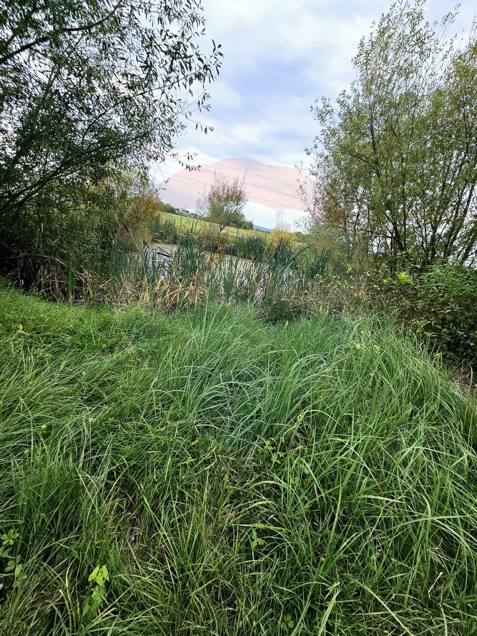 Casă / Vilă cu 5 camere de vânzare