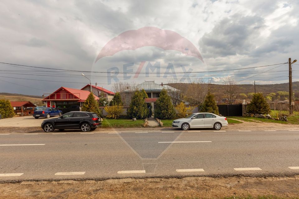 7 room House / Villa for sale, Vest area