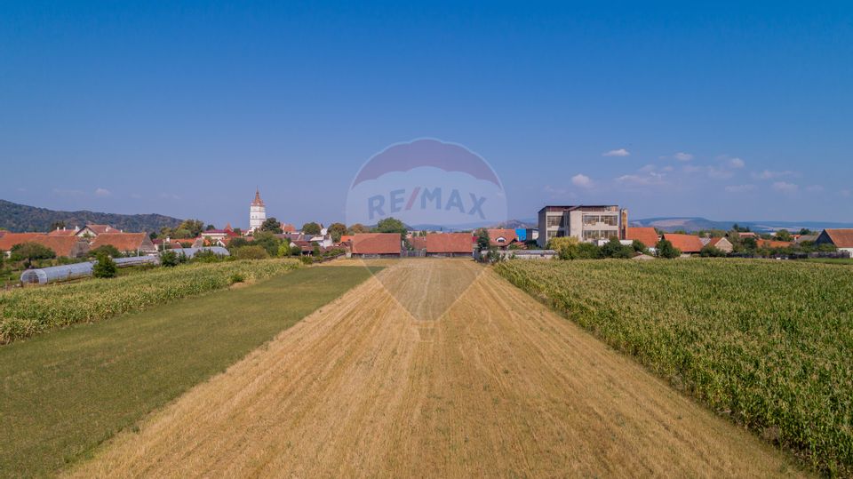 Land 3,203sqm Harman / Strada Preot dumitru greceanu