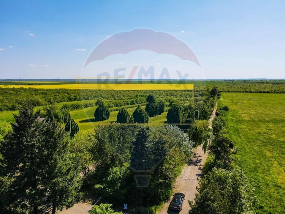 Land 55,975sqm Adunatii-Copaceni / DJ 412A