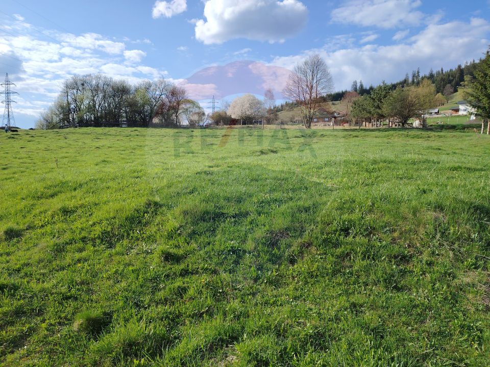 Teren 2,421mp Vatra Dornei / Strada Chilia