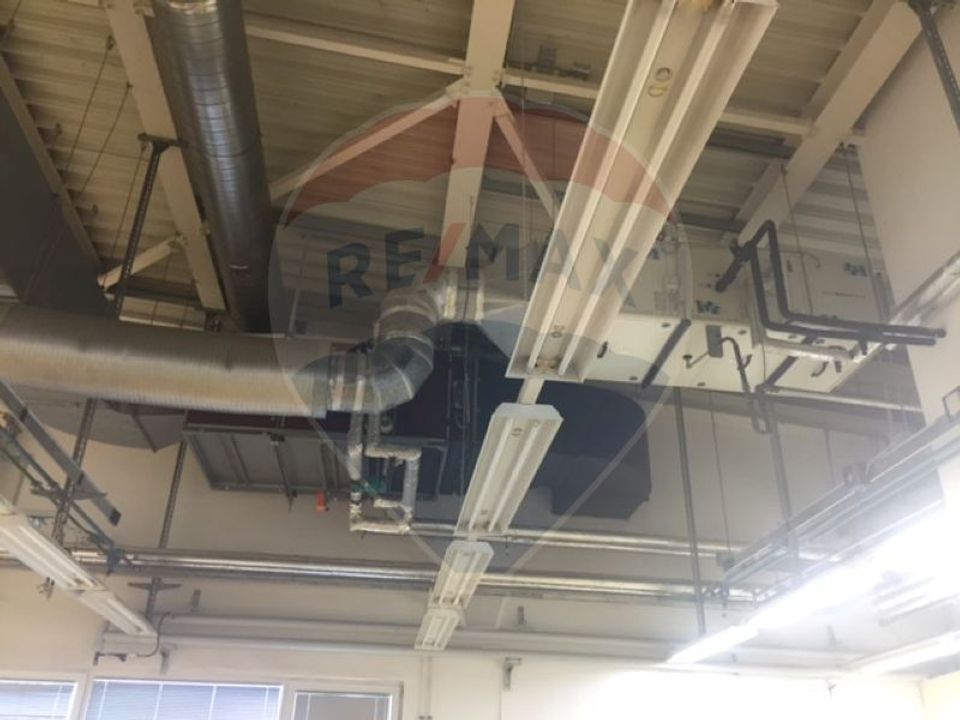 Hala de Inchiriat | Calea Baciului | Cluj-Napoca