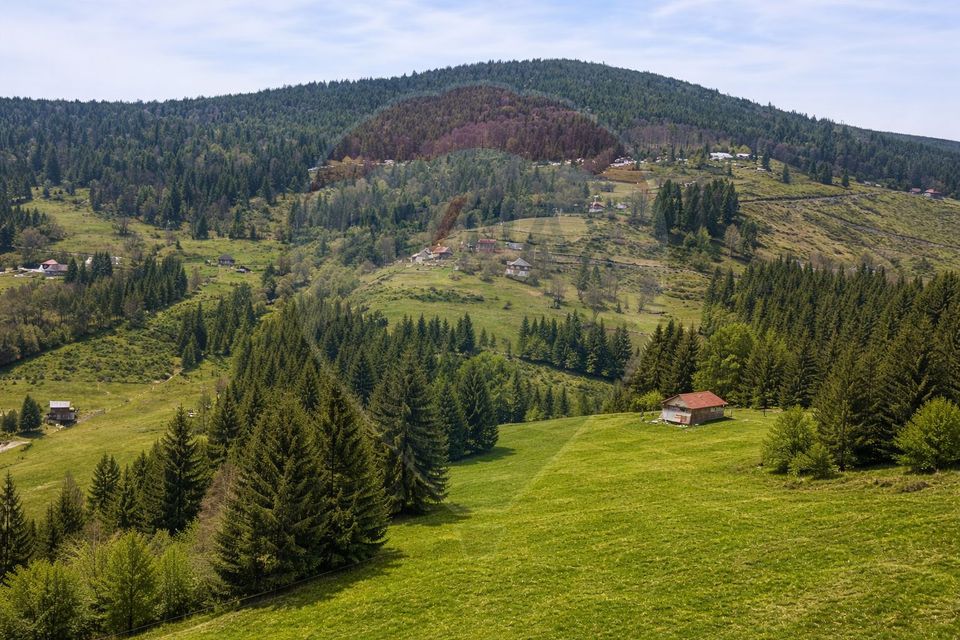 Teren de vanzare în inima Apusenilor –  6.500 mp Arieșeni
