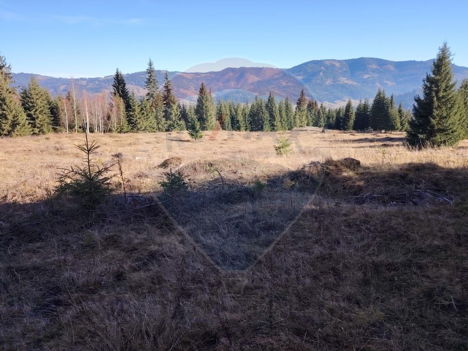 Teren 16,289mp Coverca / Drumul Bucinis