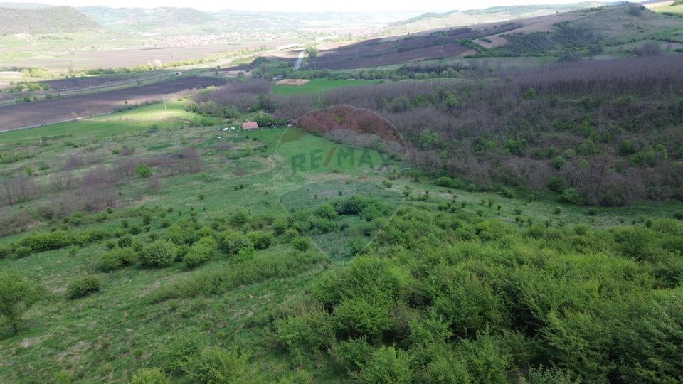 Domain - 66 Hectares - Special land Copsa Mica with access to DN14