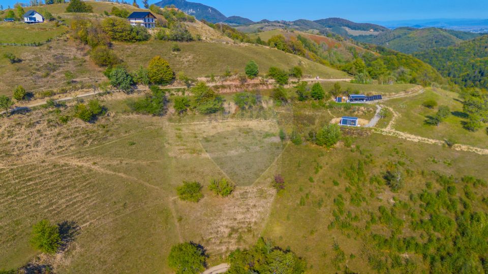 Teren extravilan 6,014mp | Holbav | BRASOV | COMISION 0|