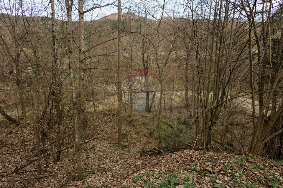 Proprietate unică în Tarcău – 30.283 mp intravilan, casă P+M