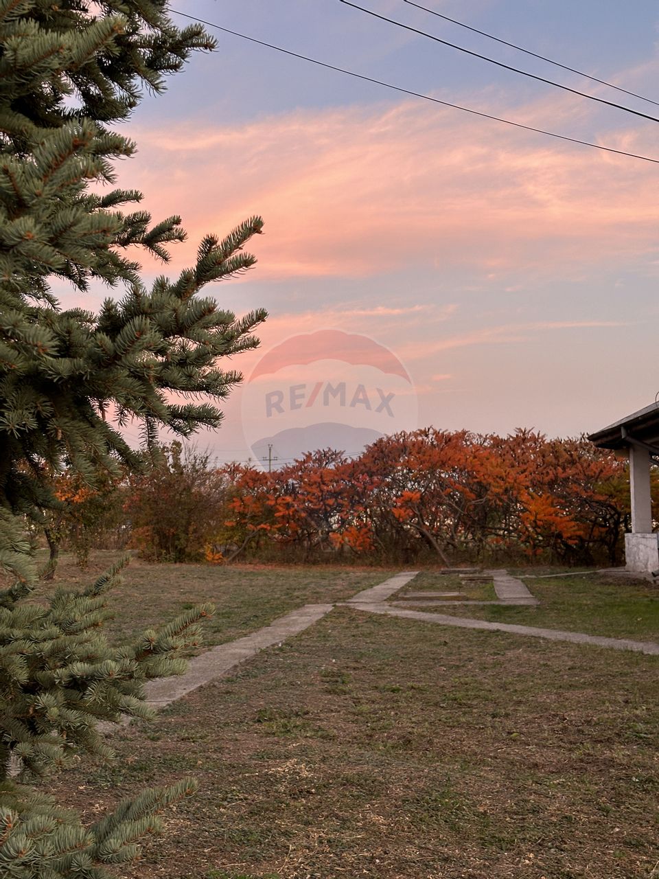 Proprietate speciala Dragomiresti Deal -Teren 15000 mp