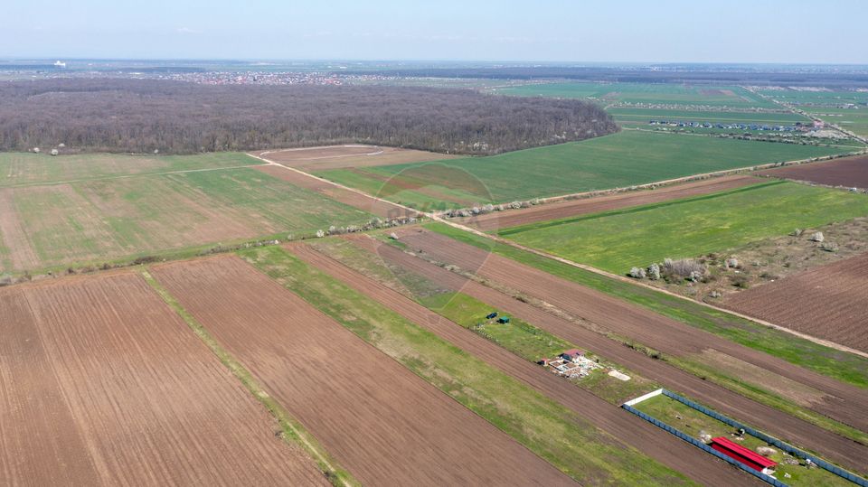 Vanzare teren intravilan 500 mp Sabareni /  Strada Orhideelor