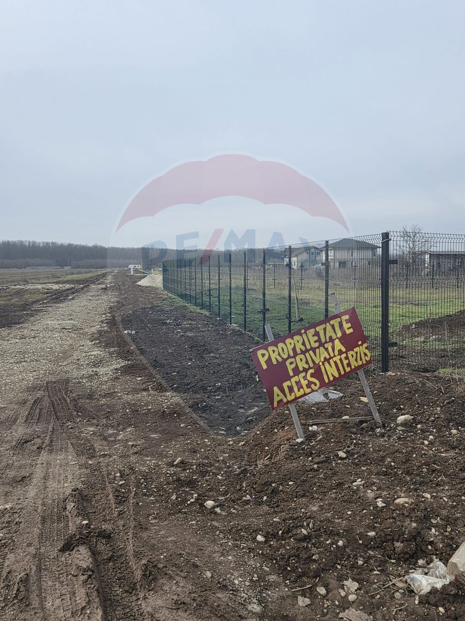 Teren 704 mp Silistea Snagovului vecinatate Padurea Snagov