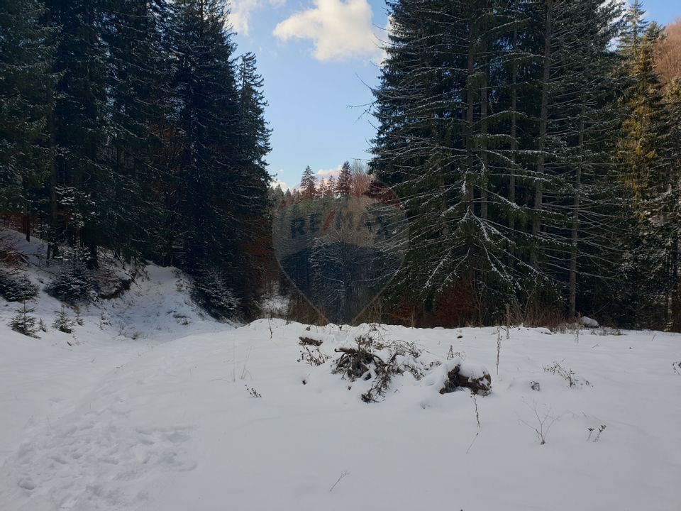 Land 19,086sqm Brasov / Strada Valea lungă