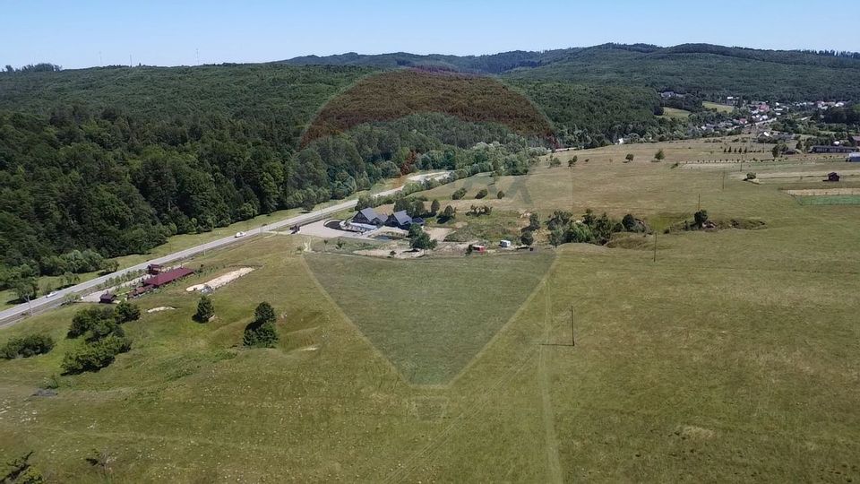 Land 5,561sqm Paltinoasa / Strada principala