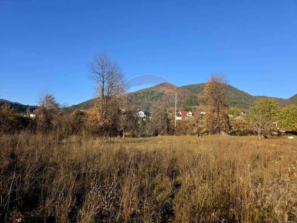 Land 6,874sqm Alexandru cel Bun / Strada plopusor