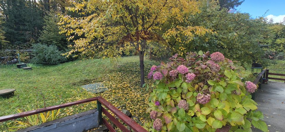 7 room House / Villa for sale