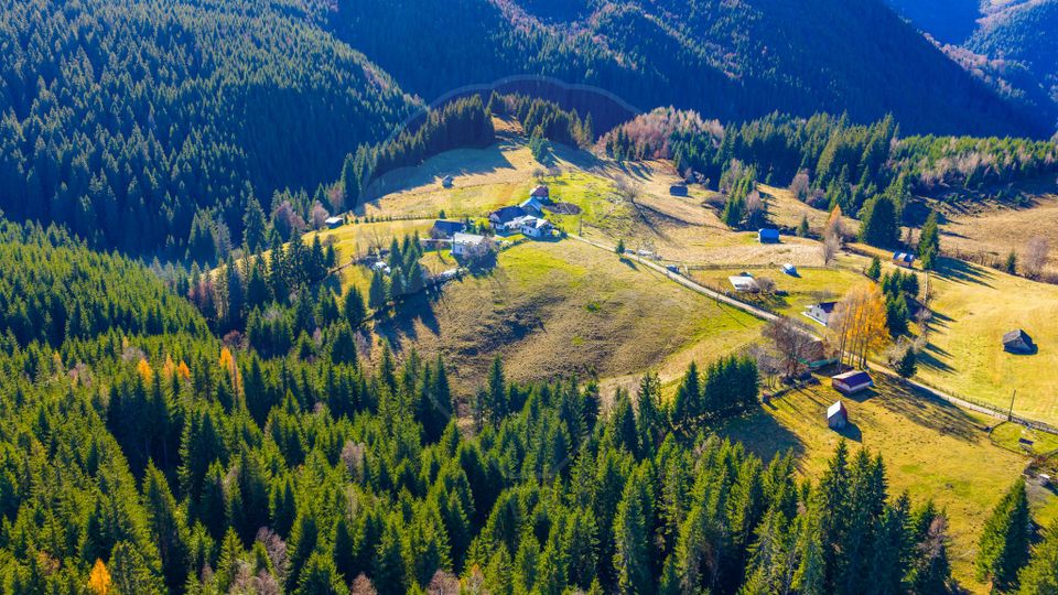 Land 13,800sqm Fundatica / Drumul FN