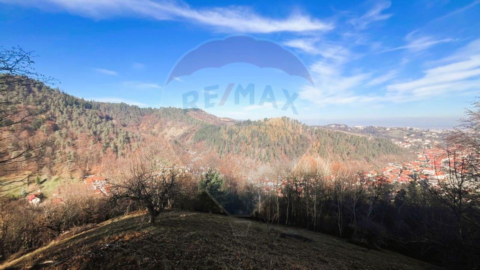 Teren Colinar Panoramic – 17.684 mp în Scheii Brașovului