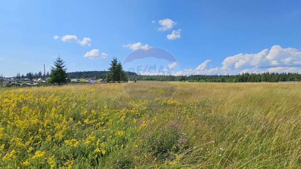 Teren parțial intravilan 30,930 mp Poiana Stampei-DN E58, Suceava