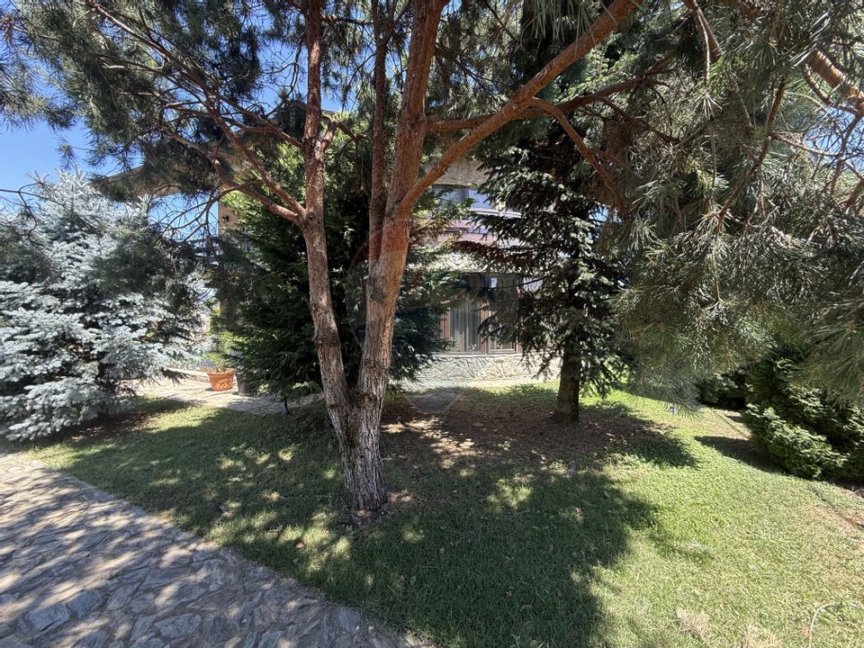 7 room House / Villa for sale, Central area