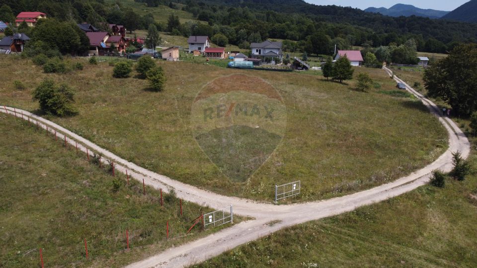 Land 2,103sqm Lepsa / Strada Zimbrului