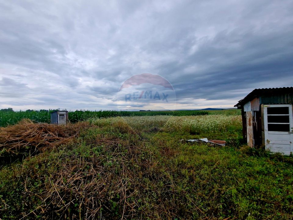 Casă Nouă cu Teren Generos – Borlești, Neamț