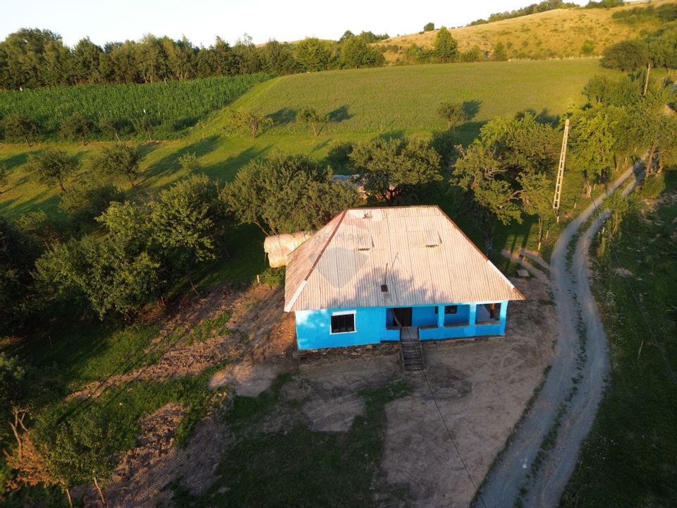 DE VANZARE CASA CU SUFELT SI ISTORIE