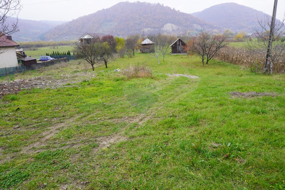 Teren 7968 mp Sighetu Marmatiei / Strada Lazu Baciului