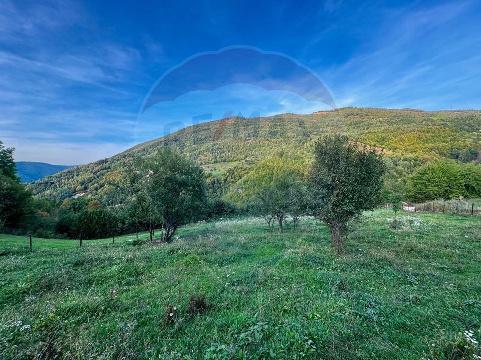 Teren 1812 mp de vânzare | Muntele Rece, cadru liniștit, Comision 0%