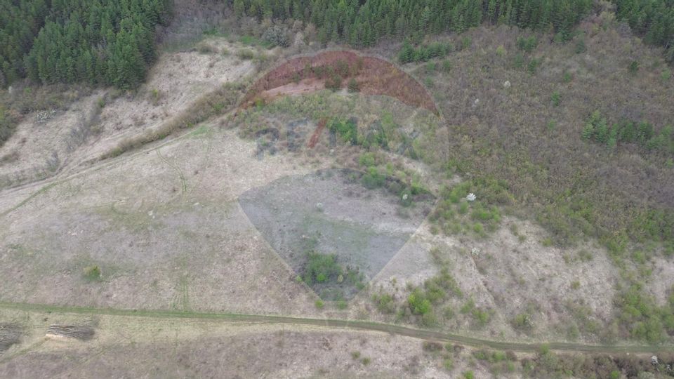 Teren de vânzare - 207.000 mp în Benesat, cu panoramă  spectaculoasă.