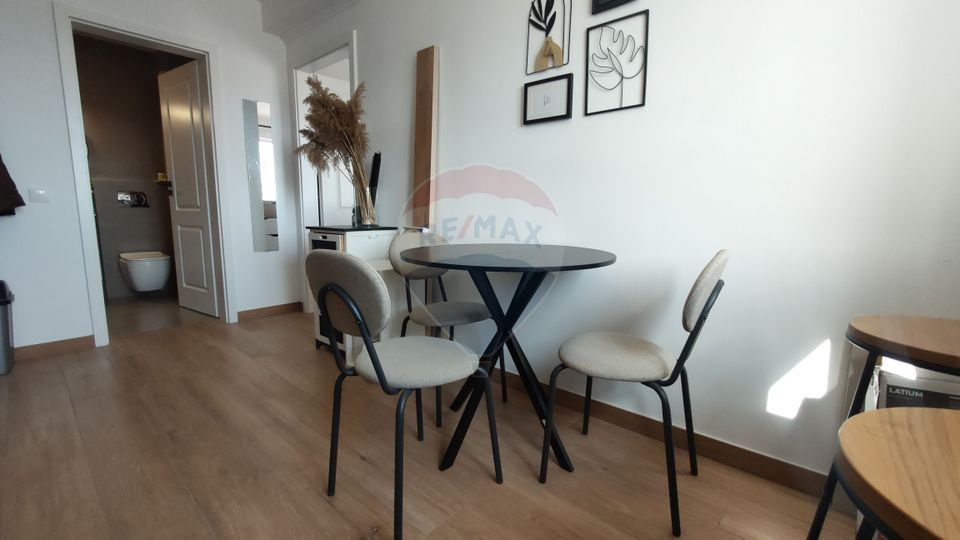 1 room Apartment for rent